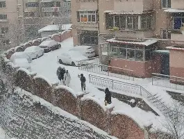 亚博-辽宁男篮签下新大外援